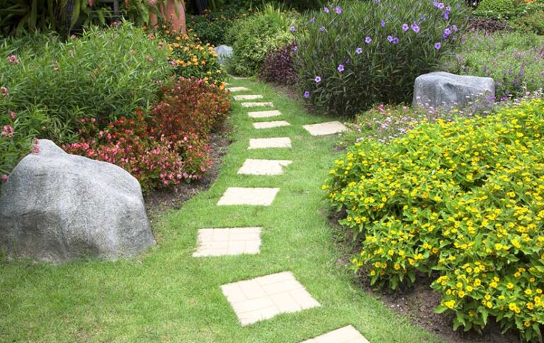 allée de jardin